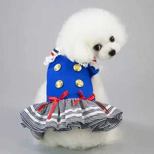 Poodle wearing royal blue Nautical Sailor Dog Dress