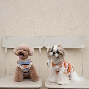 Poodle and Shih Tzu wearing Winter Love Dog Sweaters