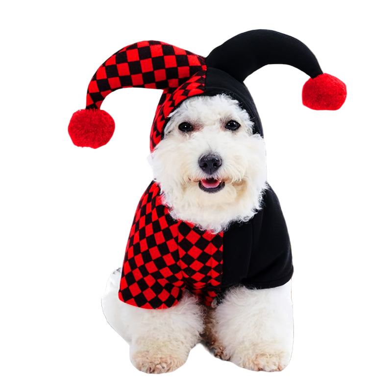 Dog wearing a jester costume with a red and black checkered outfit and hat on a white background