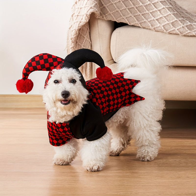 Dog wearing a jester costume with a red and black checkered outfit and hat on a white background
