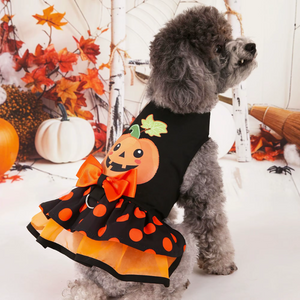 Dog wearing a Halloween-themed outfit with pumpkins and polka dots, standing in front of autumn decorations.