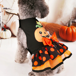 Dog wearing a Halloween-themed dress with a pumpkin design and polka dots, surrounded by pumpkins and autumn decorations.