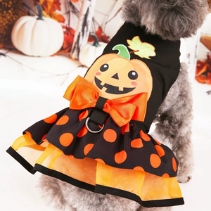 Dog wearing a Halloween-themed pumpkin costume with polka dot skirt.
