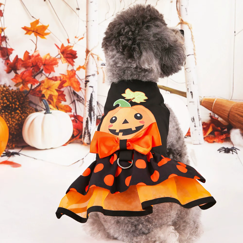 Dog wearing a Halloween-themed outfit with a pumpkin design, surrounded by autumn decorations.