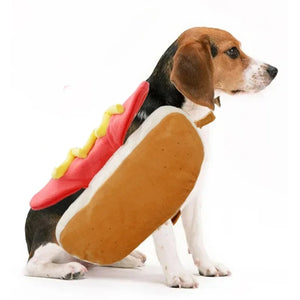 Beagle wearing a hot dog costume on a white background