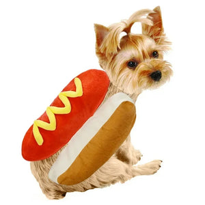 Yorkie wearing a hot dog costume with a white background