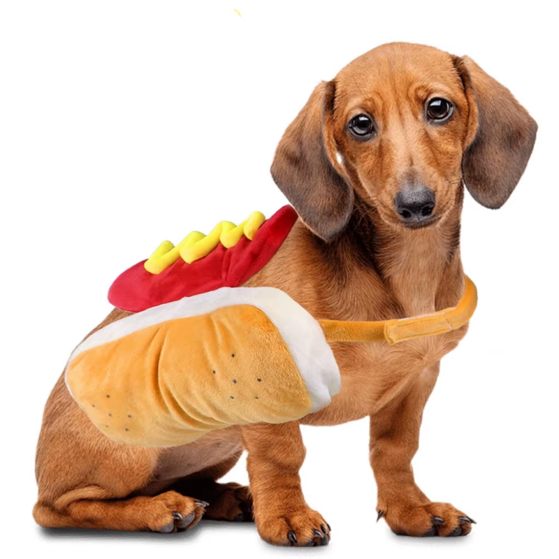Dog wearing a hot dog costume.