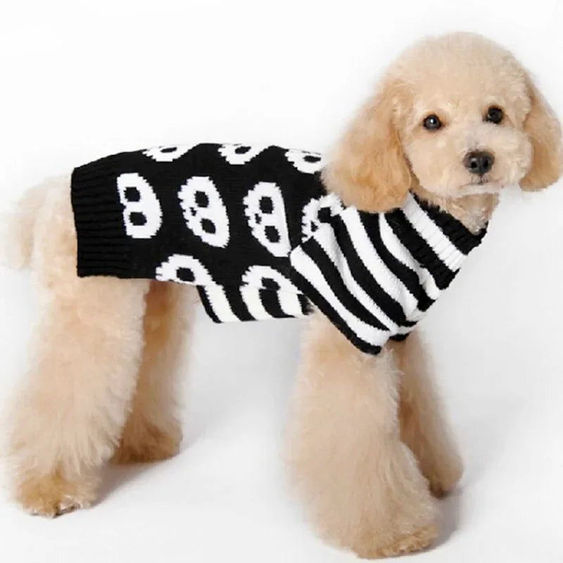 Dog wearing a black sweater with white skull patterns on a white background