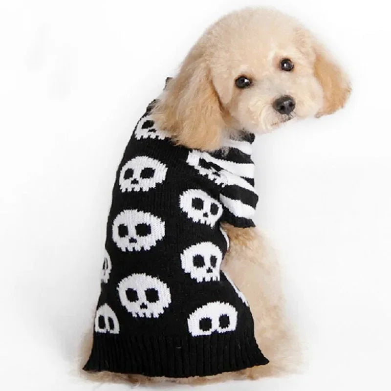 Dog wearing a black sweater with white skull patterns on a white background