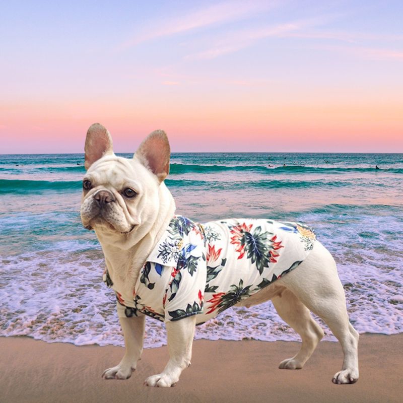 Aloha! Your little dude will be ready to Hang 10 in these Hawaiian Dog Shirts, available in 8 colors.