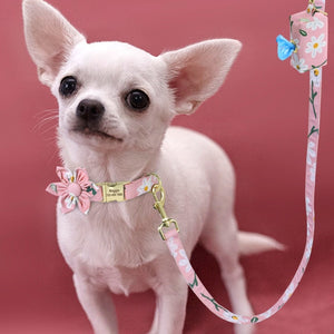 Pink Daisy Flower Collar & Leash Set with Matching Poop Bag Case fits small dogs, like this Chihuahua, as well as medium and large dog breeds.