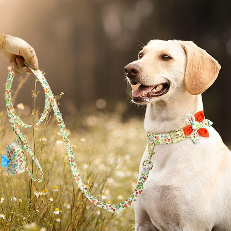 Luxury Designer Flower Dog Collar and Leash Set 