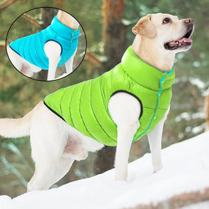 Reversible green/blue Waterproof Parka Large Dog Vest keeps this Yellow Lab warm.