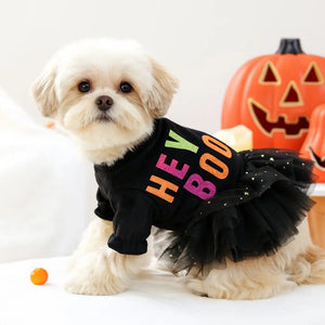 Dog wearing a black outfit with colorful text and a black tutu in front of a Halloween pumpkin.