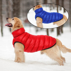 Reversible red/blue Waterproof Parka Large Dog Vest keeps this Golden Retriever warm.