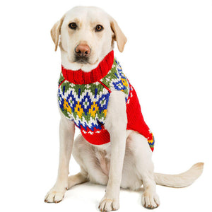 Labrador wearing a colorful red holiday sweater on a white background