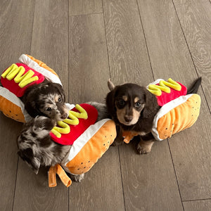 Three small dachschunds wearing plush hot dog costumes sitting on a gray wood floor. The costumes include orange-brown bun bodies with red tops, white rims, and yellow mustard details.