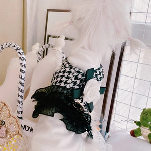 Dog wearing a black and white houndstooth dog harness looking out a window.