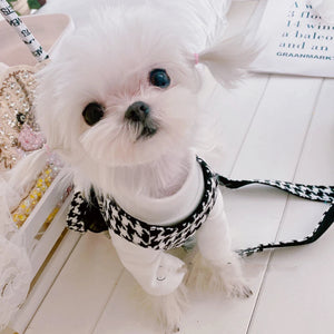 Small white dog wearing a black and white checkered harness on a light wooden floor.