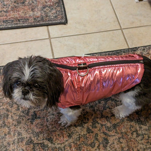 Shih Tsu wearing pink puffer dog coat