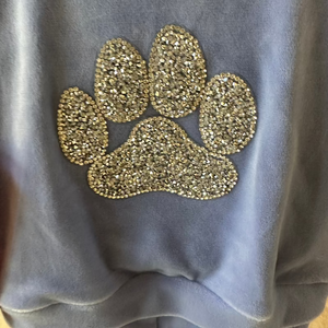 Isaac Mizrahi Doggie Velour Tracksuit