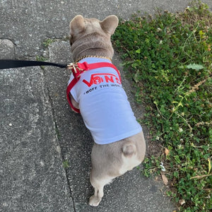 French Bulldog wearing Vans-inspired dog T-Shirt.