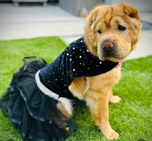 Bling Black Dog Party Dress can be custom made for larger dogs.