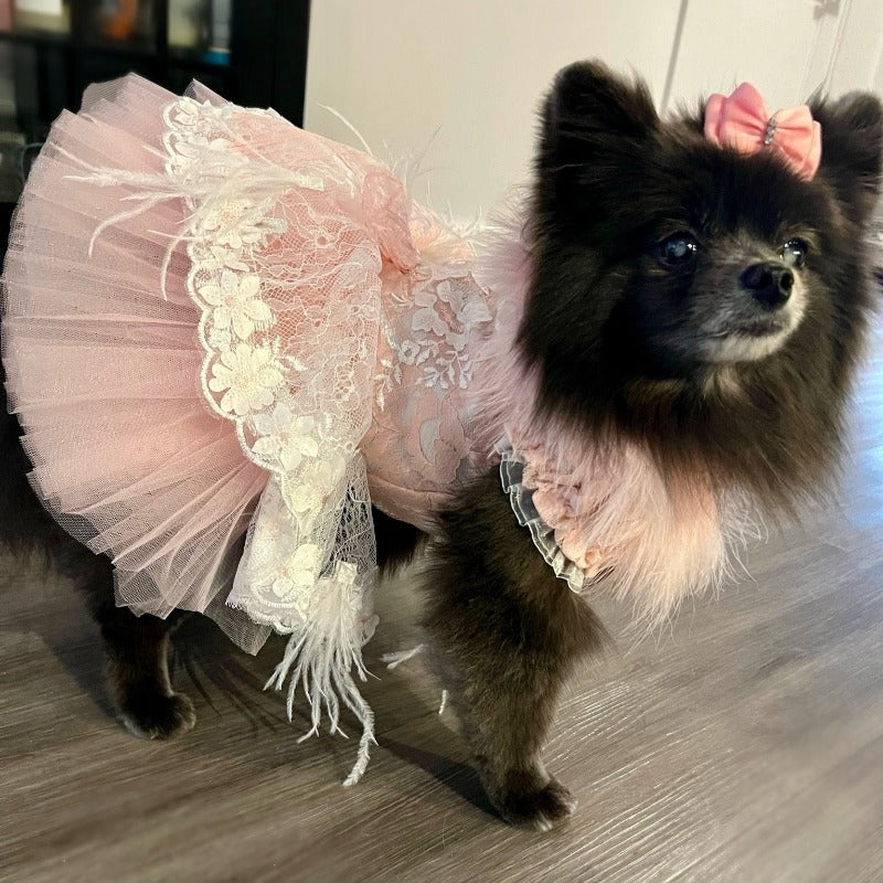 Our handmade Sophia Dog Party Dress is exquisitely crafted with the finest details, including feathers, embroidered floral lace, faux-pearl applique flowers and a tulle skirt.