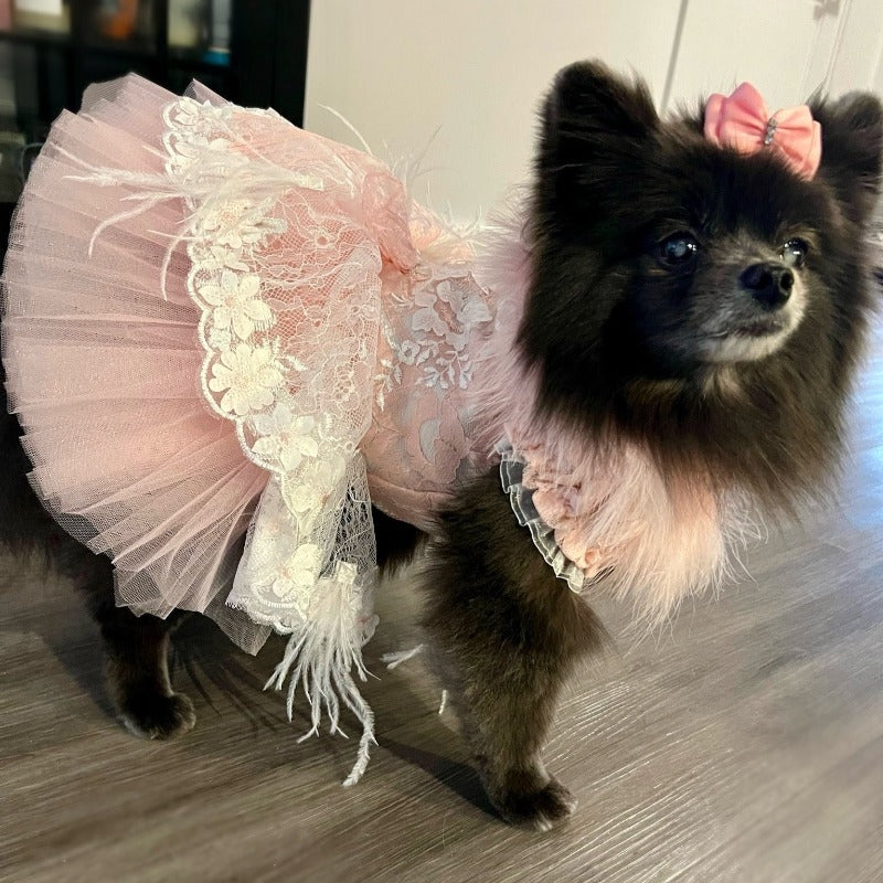 Designer Pink Dog Party Dress