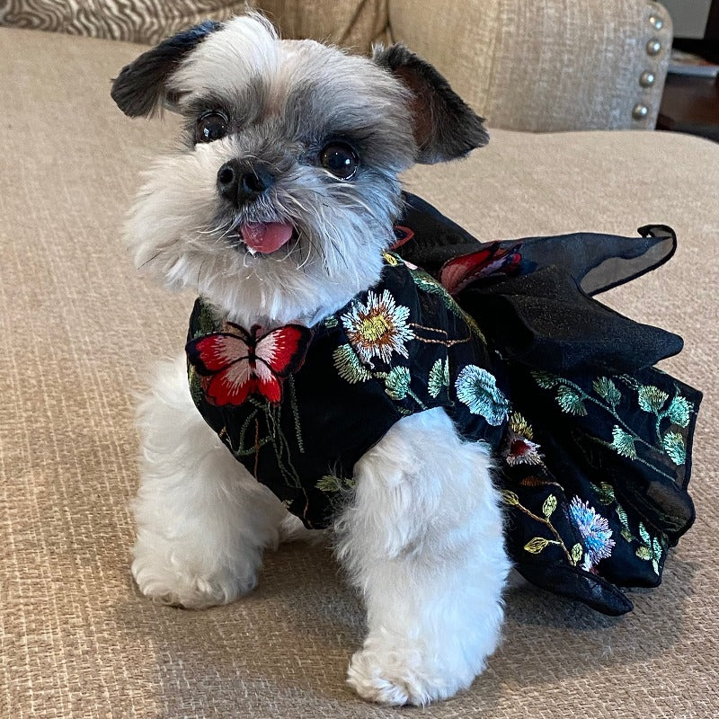 Designed for Posh Dog Life, our handmade Carmen Dog Party Dress is exquisitely crafted with the finest details, including embroidered flowers, 3-D butterflies and tulle skirt