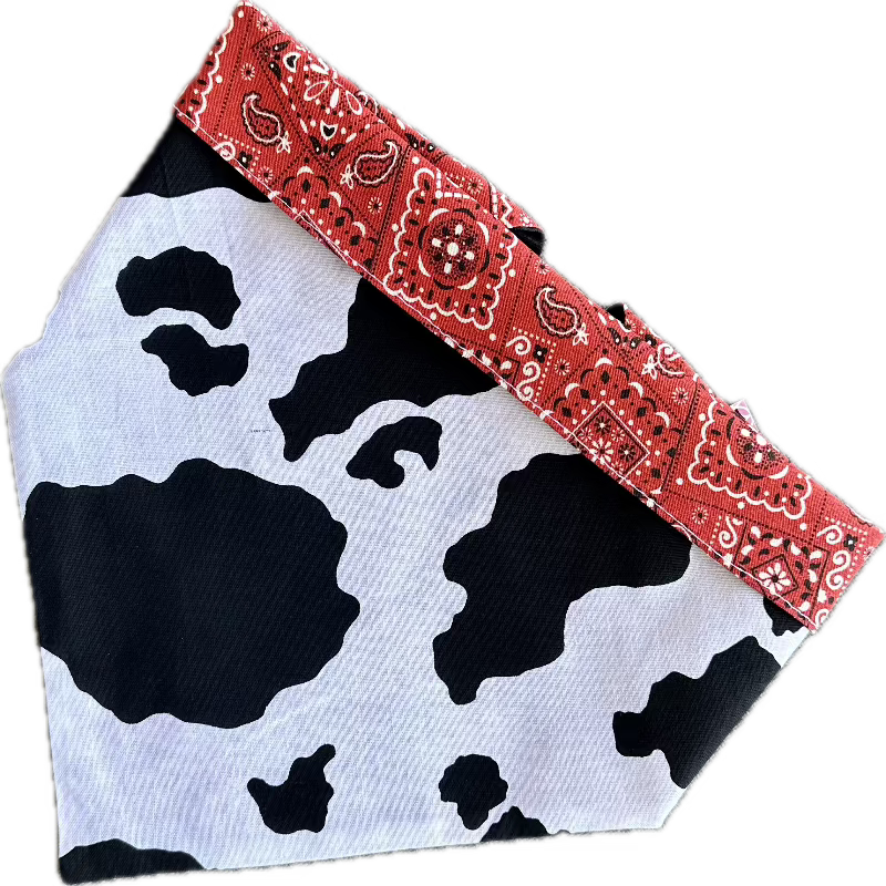 This Cow Print Rodeo Bandana Dog Collar features black and white patches, with red rodeo trim and backing.