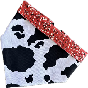This Cow Print Rodeo Bandana Dog Collar features black and white patches, with red rodeo trim and backing.