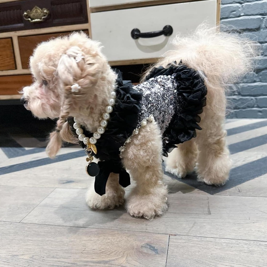 C'Mimi Designer Studio 54 Dog Party Dress Posh Dog Life