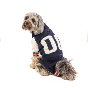 Dog wearing a navy blue sweater with white letters on a white background