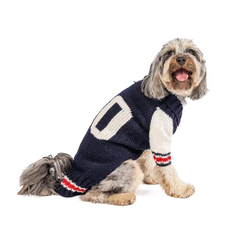 Dog wearing a navy sweater with white and red accents on a white background