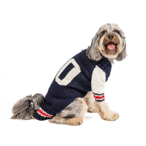 Dog wearing a navy sweater with white and red accents on a white background