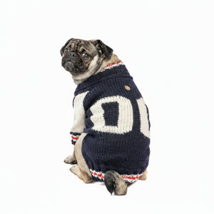 Pug wearing a navy blue sweater with a large white letter 'D' on a white background