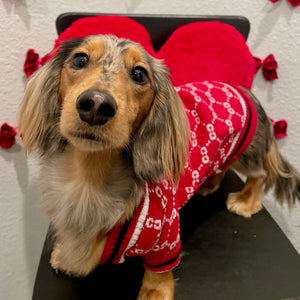 Dog wearing a red sweater with white patterns on a chair.