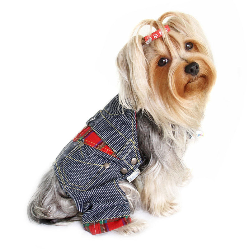 Yorkie in striped denim overalls