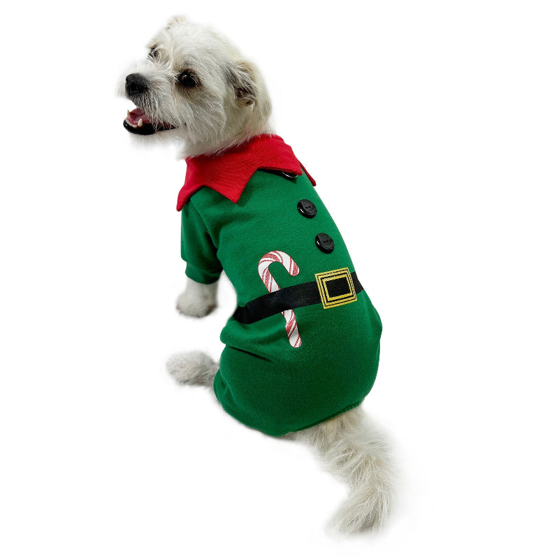 Small dog in Shimmery Candy Cane Elf Dog Bodysuit