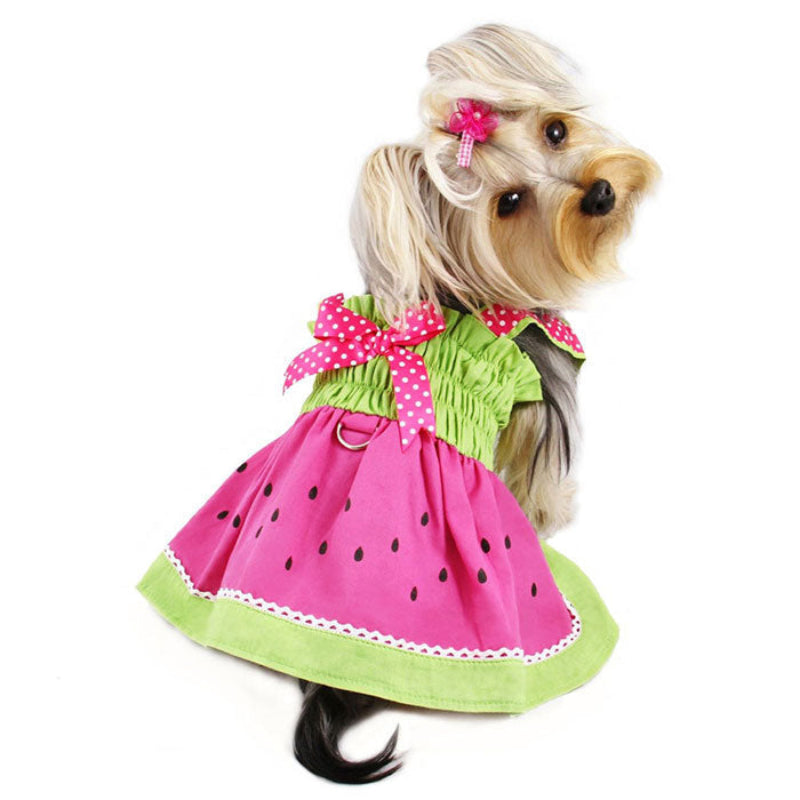 Yorkie wearing Juicy Watermelon Dog Sundress with Large D-ring