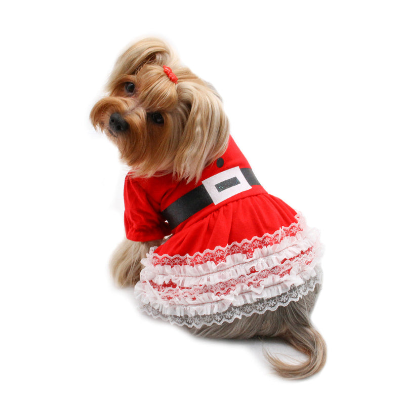 Yorke in Lace Ruffles Puffy Sleeves Christmas Dog Dress