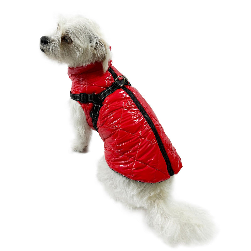 Maltese in Red Water Resistant Puffy Vest with Built-In Harness 