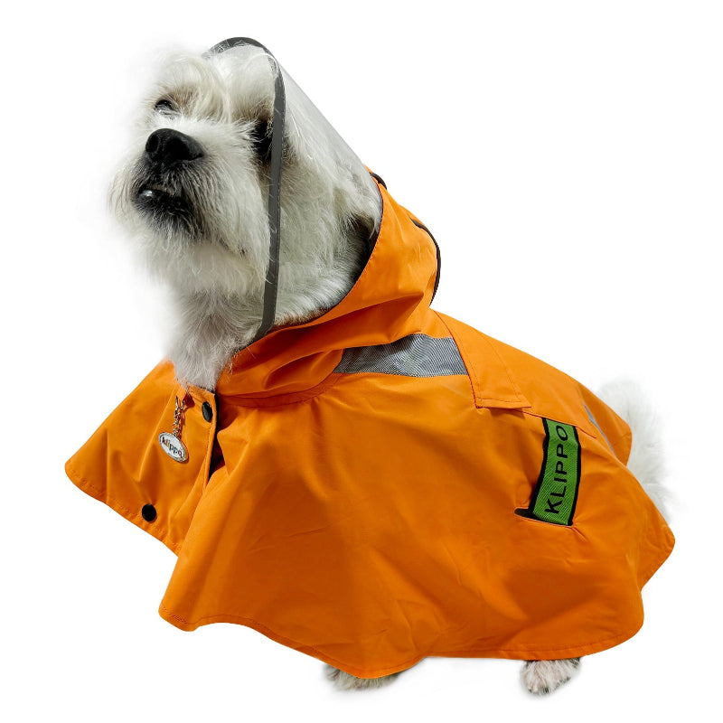 Maltese wearing Clear View Poncho Dog Raincoat with Reflective Stripes