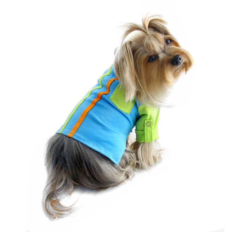 Yorkie in aqua and lime dog shirt.