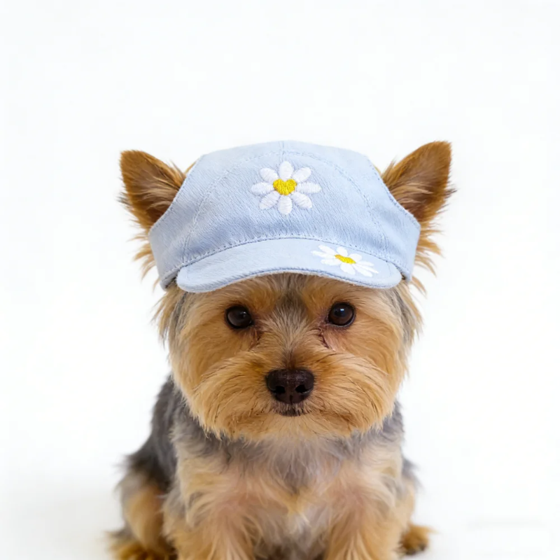 Light blue cap with white daisy flowers on a textured beige surface