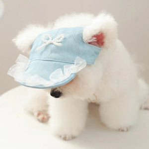 Small white dog wearing a light blue cap with a bow on a plain background
