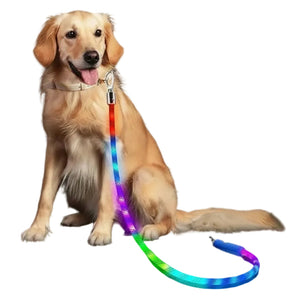 A golden retriever sits on a black background wearing a glowing LED pet leash. The leash shows multicolor light in red, orange, yellow, green, blue, and purple.