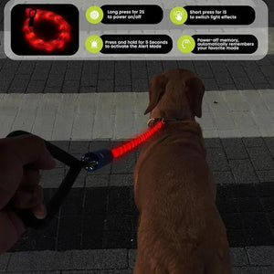 A Light Up dog collar leash shown in use on a dog at a crosswalk, with a hand holding the handle. The collar has a bright red illuminated rope .