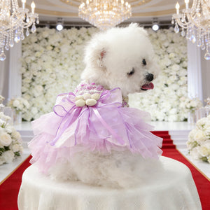 White dog in a purple dress sitting on a white pedestal with chandeliers and floral backdrop